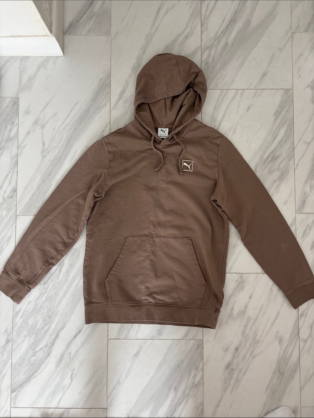 Puma boys Chocolate Brown Logo Hoodie